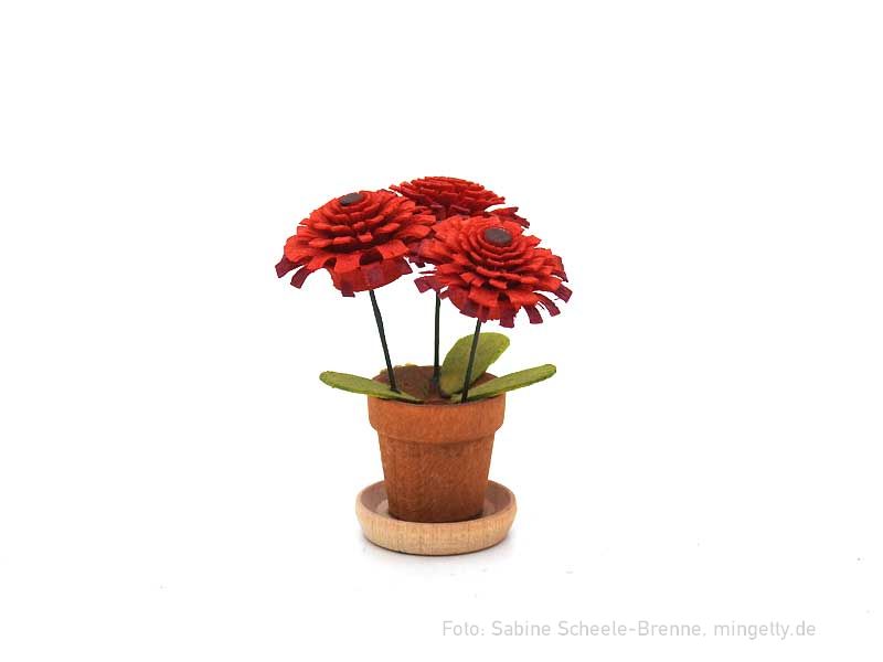 Blumentopf mit roter BlÃ¼te